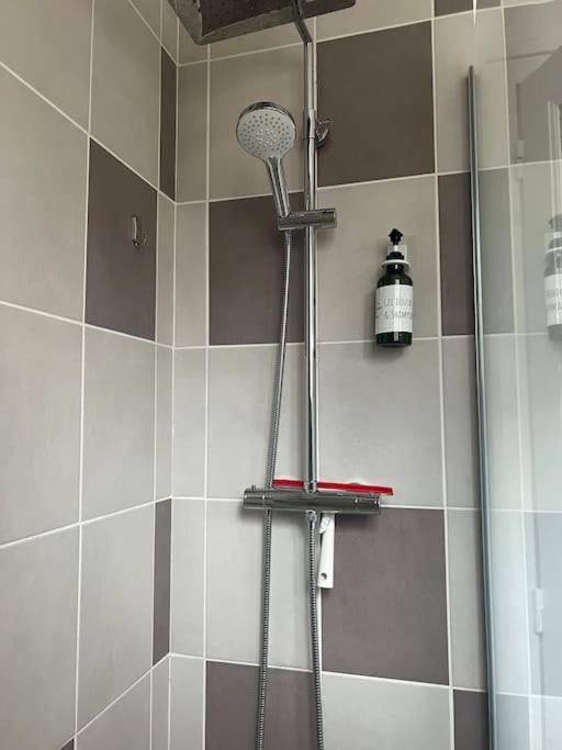 Appartement Proche Des Facs Lebon Clermont-Ferrand Eksteriør billede